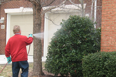 Outdoor Pest Control in Johnson City, Tennessee