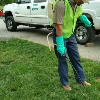 Brown Patches in Lawn, Kingsport, TN