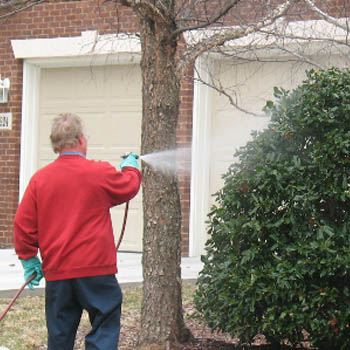 Outdoor Pest Control in Bristol, TN