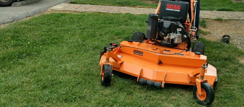 Yard Maintenance in Bristol, TN